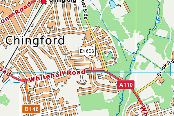 E4 6DS map - OS VectorMap District (Ordnance Survey)