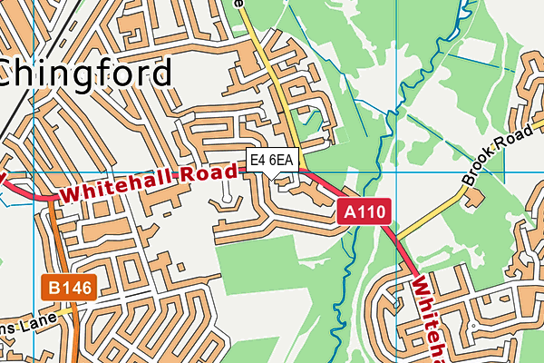 E4 6EA map - OS VectorMap District (Ordnance Survey)