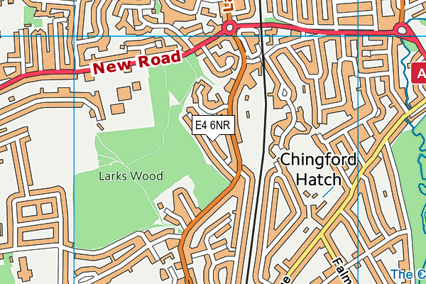 E4 6NR map - OS VectorMap District (Ordnance Survey)