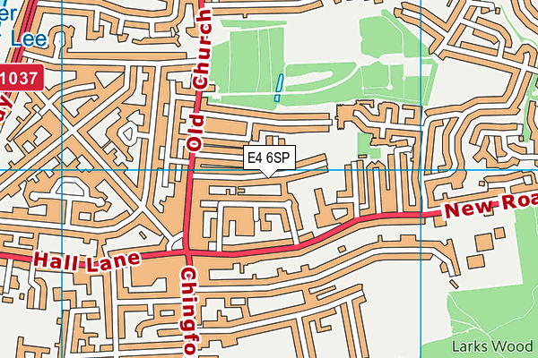 E4 6SP map - OS VectorMap District (Ordnance Survey)