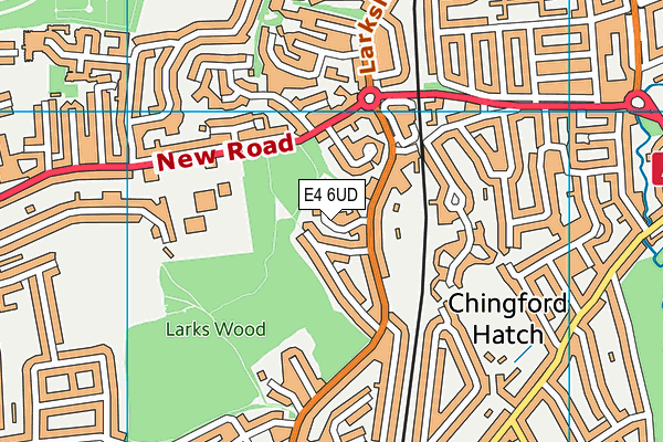 E4 6UD map - OS VectorMap District (Ordnance Survey)