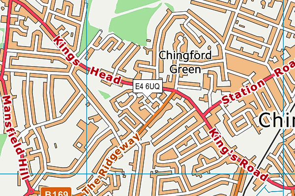 E4 6UQ map - OS VectorMap District (Ordnance Survey)