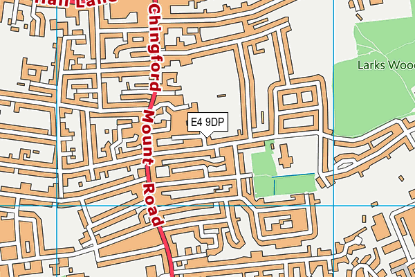 E4 9DP map - OS VectorMap District (Ordnance Survey)