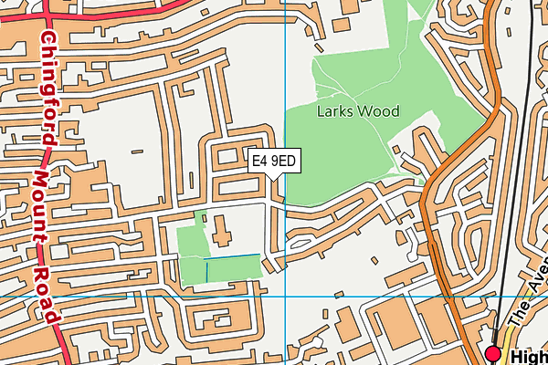 E4 9ED map - OS VectorMap District (Ordnance Survey)