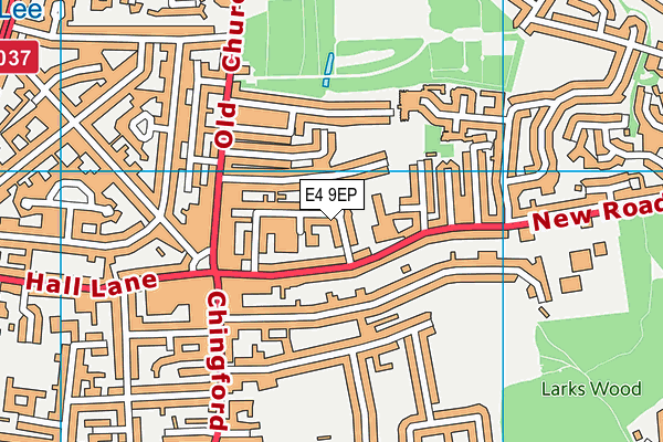 E4 9EP map - OS VectorMap District (Ordnance Survey)