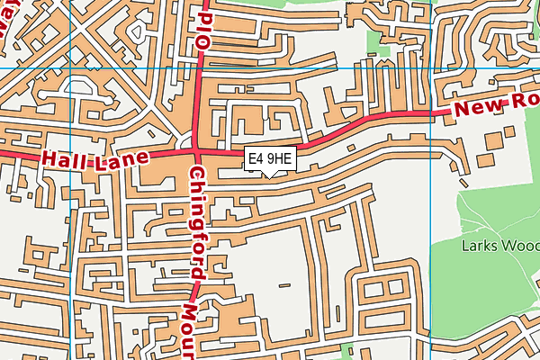E4 9HE map - OS VectorMap District (Ordnance Survey)