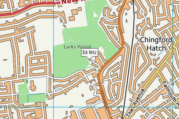 E4 9HJ map - OS VectorMap District (Ordnance Survey)