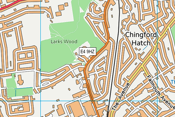 E4 9HZ map - OS VectorMap District (Ordnance Survey)