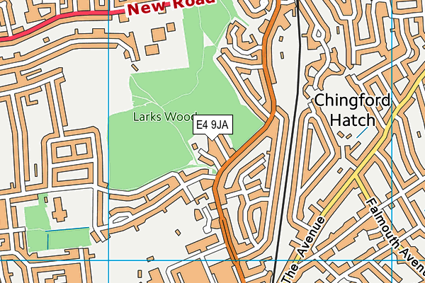 E4 9JA map - OS VectorMap District (Ordnance Survey)