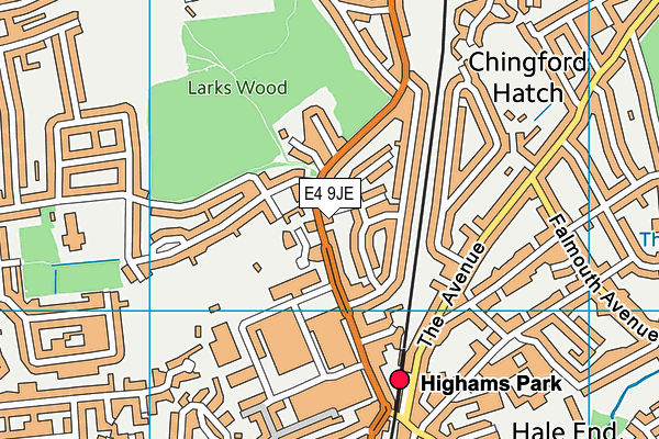 E4 9JE map - OS VectorMap District (Ordnance Survey)