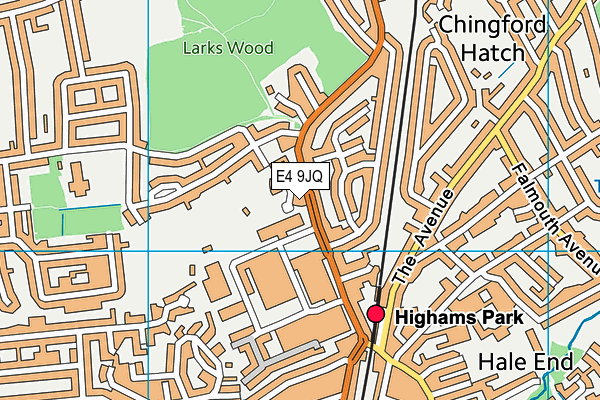 E4 9JQ map - OS VectorMap District (Ordnance Survey)