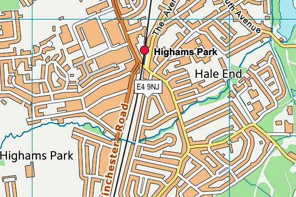 E4 9NJ map - OS VectorMap District (Ordnance Survey)