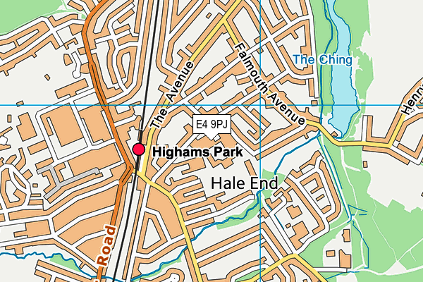 Handsworth Primary School map (E4 9PJ) - OS VectorMap District (Ordnance Survey)
