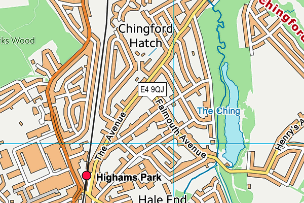 E4 9QJ map - OS VectorMap District (Ordnance Survey)