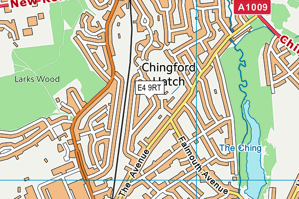 E4 9RT map - OS VectorMap District (Ordnance Survey)