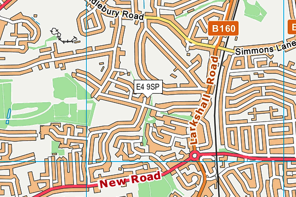 E4 9SP map - OS VectorMap District (Ordnance Survey)