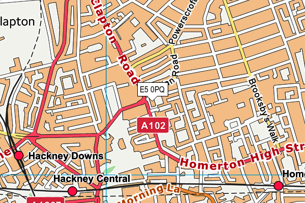 E5 0PQ map - OS VectorMap District (Ordnance Survey)