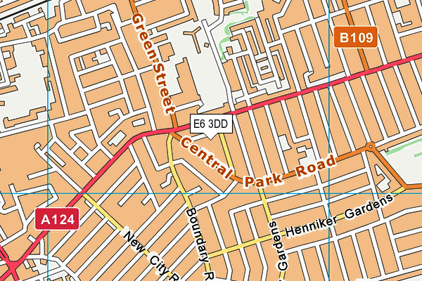 E6 3DD map - OS VectorMap District (Ordnance Survey)