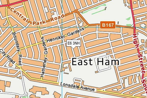 E6 3NH map - OS VectorMap District (Ordnance Survey)