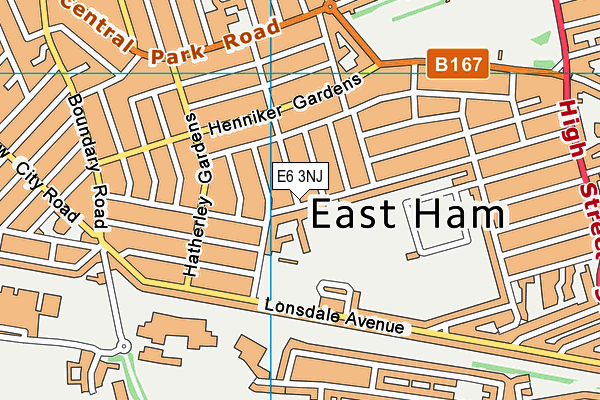 E6 3NJ map - OS VectorMap District (Ordnance Survey)