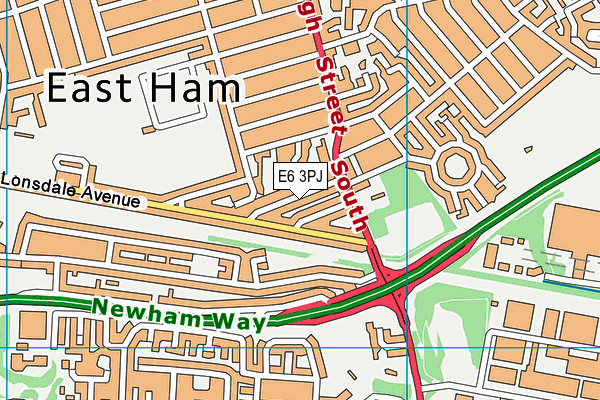 E6 3PJ map - OS VectorMap District (Ordnance Survey)