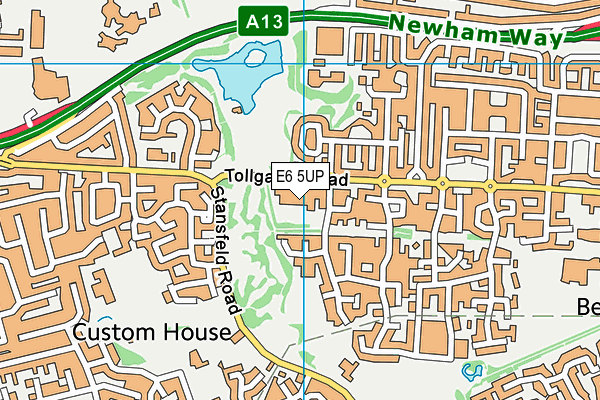 Ellen Wilkinson Primary School map (E6 5UP) - OS VectorMap District (Ordnance Survey)