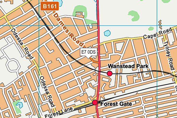 E7 0DS map - OS VectorMap District (Ordnance Survey)