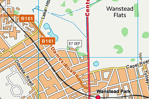 E7 0EF map - OS VectorMap District (Ordnance Survey)