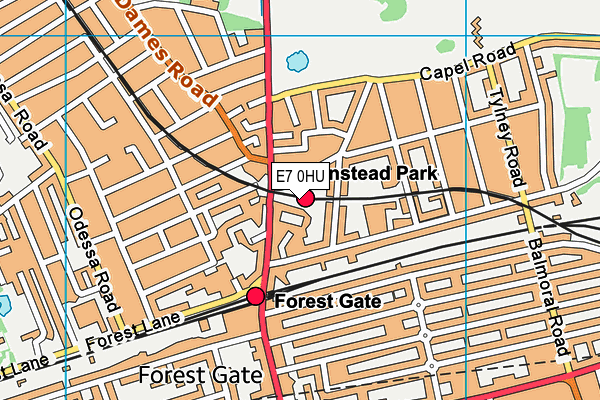 E7 0HU map - OS VectorMap District (Ordnance Survey)