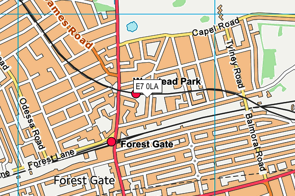 E7 0LA map - OS VectorMap District (Ordnance Survey)