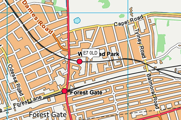 E7 0LD map - OS VectorMap District (Ordnance Survey)