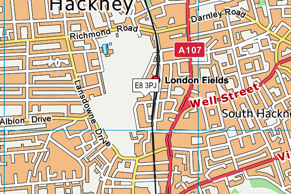 E8 3PJ map - OS VectorMap District (Ordnance Survey)