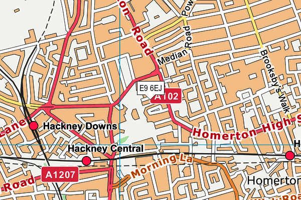 The Olive School Hackney map (E9 6EJ) - OS VectorMap District (Ordnance Survey)