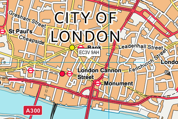 Pure Gym (London Bank) map (EC3V 9AH) - OS VectorMap District (Ordnance Survey)
