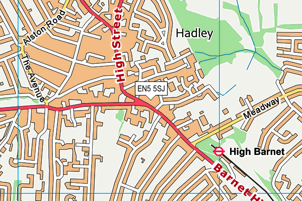 Susi Earnshaw Theatre School map (EN5 5SJ) - OS VectorMap District (Ordnance Survey)