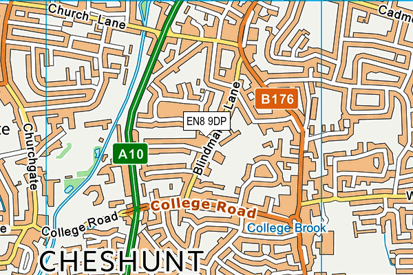 Burleigh Primary School map (EN8 9DP) - OS VectorMap District (Ordnance Survey)