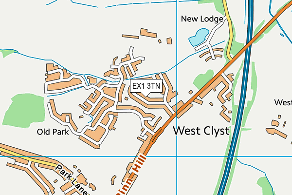 EX1 3TN map - OS VectorMap District (Ordnance Survey)