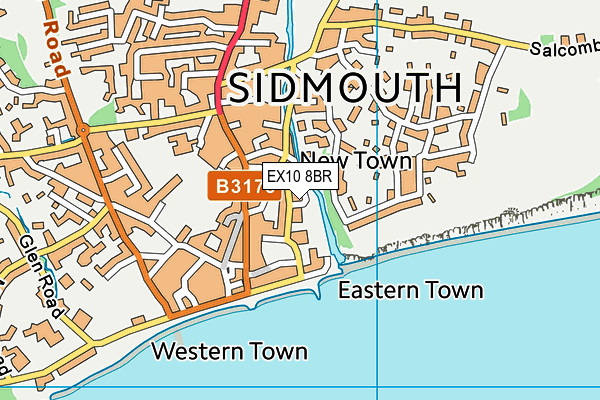 EX10 8BR map - OS VectorMap District (Ordnance Survey)