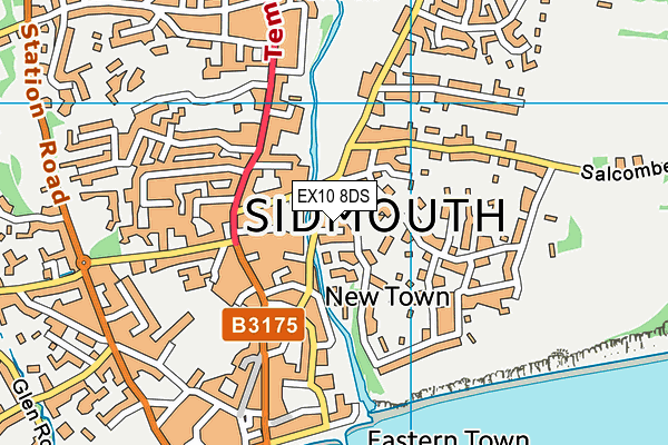 EX10 8DS map - OS VectorMap District (Ordnance Survey)