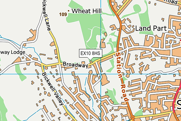 EX10 8HS map - OS VectorMap District (Ordnance Survey)