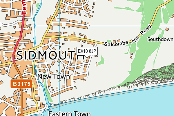 EX10 8JP map - OS VectorMap District (Ordnance Survey)