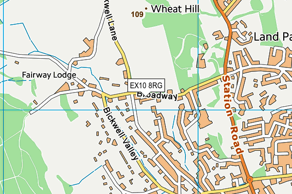 St John's School map (EX10 8RG) - OS VectorMap District (Ordnance Survey)