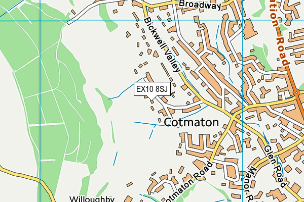 EX10 8SJ map - OS VectorMap District (Ordnance Survey)