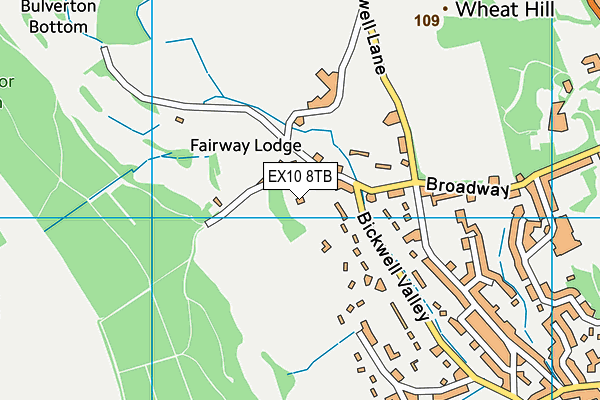 EX10 8TB map - OS VectorMap District (Ordnance Survey)