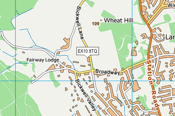 EX10 8TQ map - OS VectorMap District (Ordnance Survey)