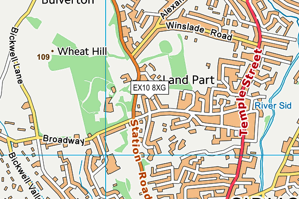 EX10 8XG map - OS VectorMap District (Ordnance Survey)