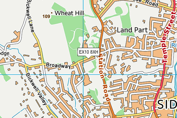 EX10 8XH map - OS VectorMap District (Ordnance Survey)