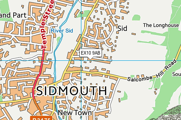 EX10 9AB map - OS VectorMap District (Ordnance Survey)