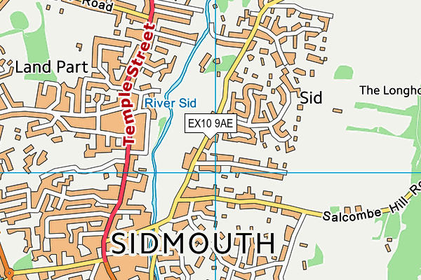 EX10 9AE map - OS VectorMap District (Ordnance Survey)