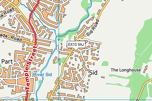 EX10 9AJ map - OS VectorMap District (Ordnance Survey)